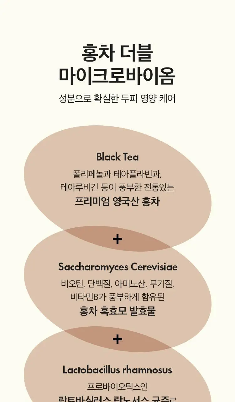 [뿌리볼륨] 아닐로 블랙티 너리싱 두피 트리트먼트 150ml 상세페이지 9